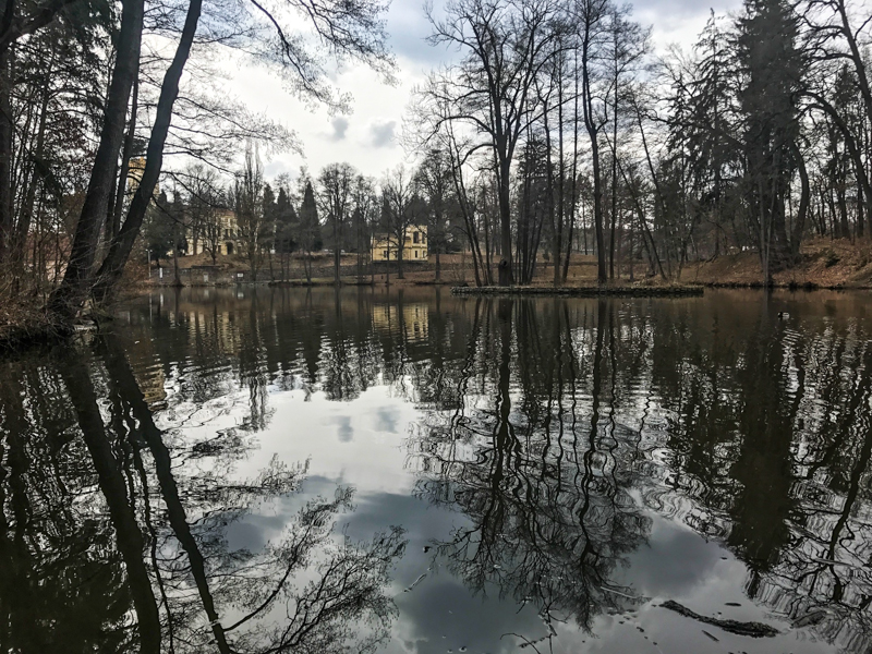 Hamerský rybník u zámku Kamenice