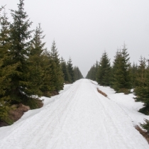 Krušnohorská lyžařská magistrála
