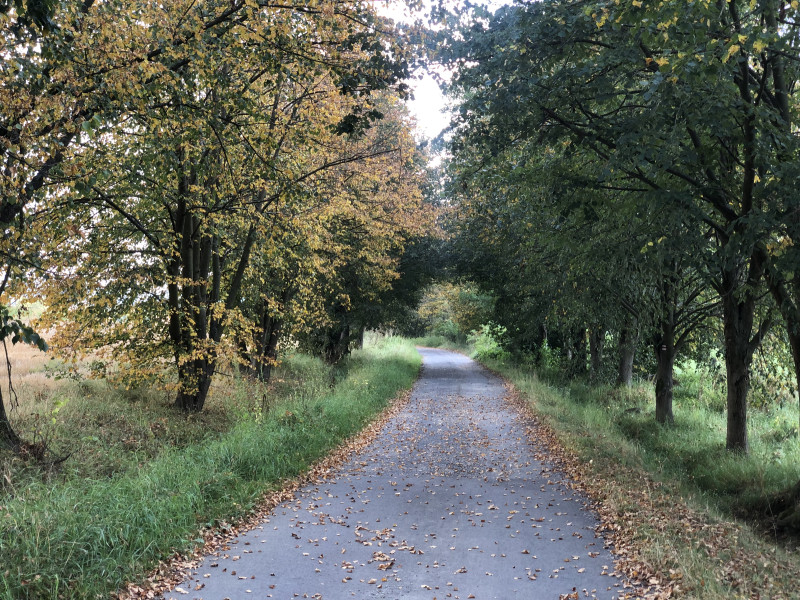 Albrechtice nad Vltavou