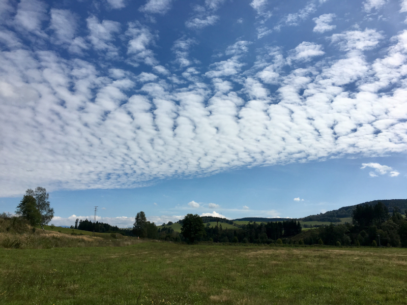 Altocumulus undulatus radiatus