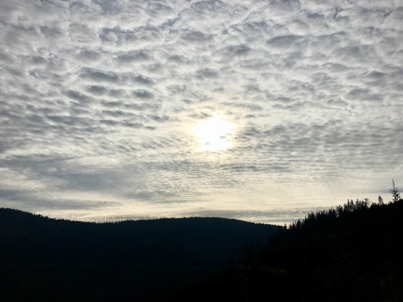 Altocumulus undulatus translucidus