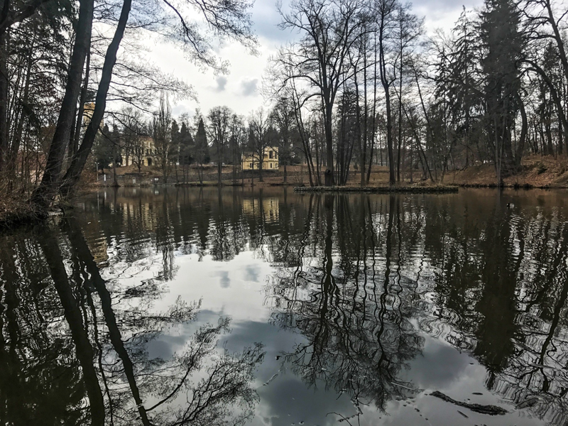 Hamerský rybník u zámku Kamenice