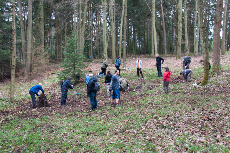 Holýšov - úklid kolem studánky