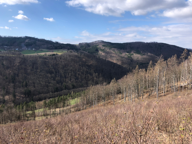 Hornosvratecká vrchovina v části severního Vírska
