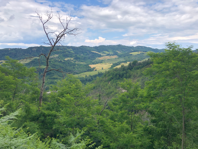 Krajina jak někde v Čechách