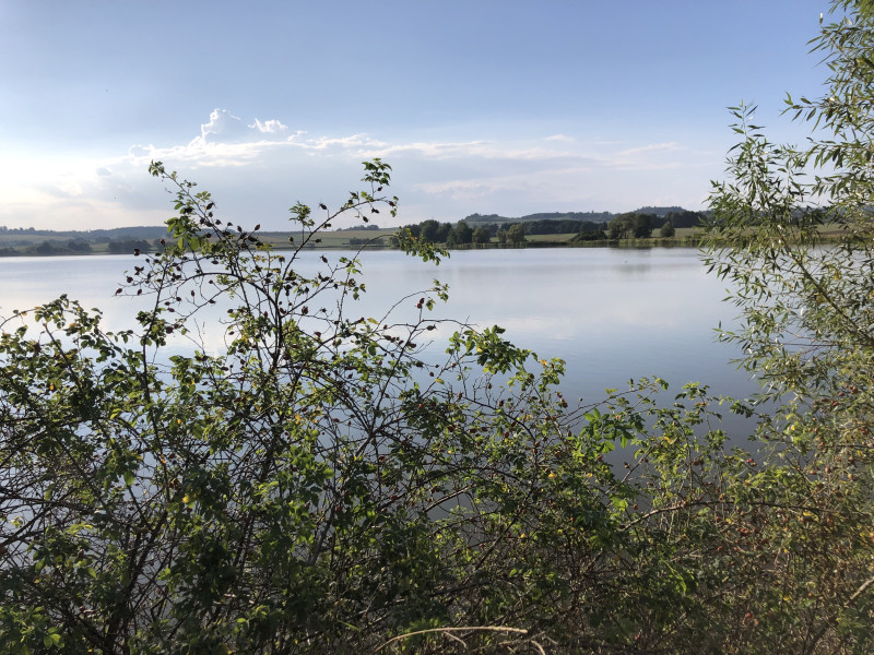 Metelský rybník