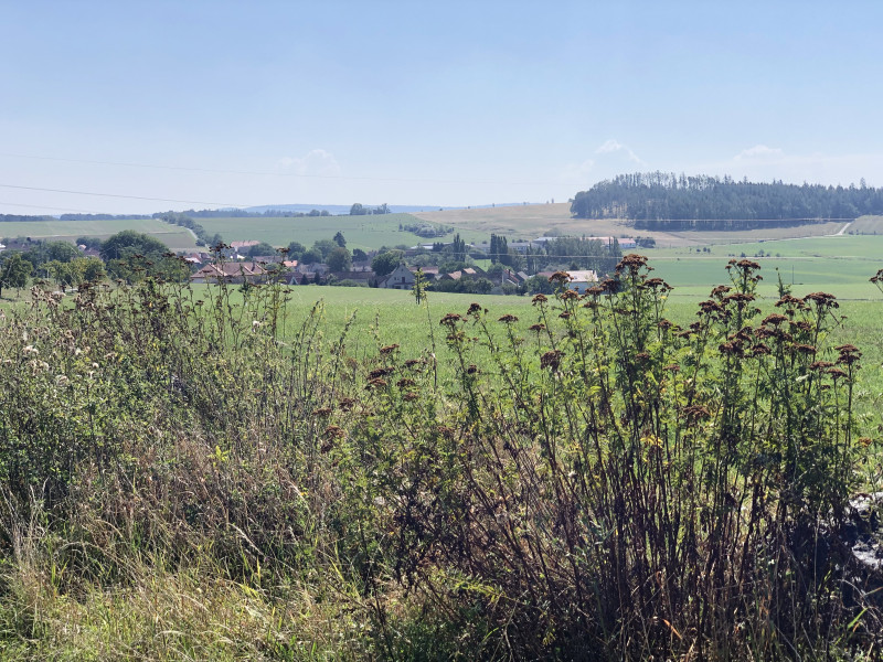 Milínov