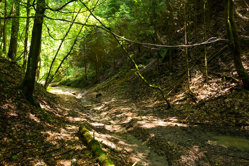 Místy byla cesta schůdná