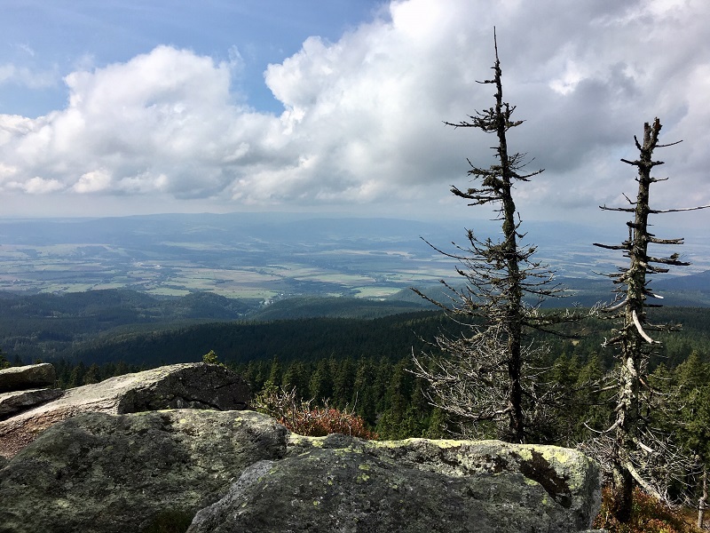 Panorama ze hřebene Králičáku