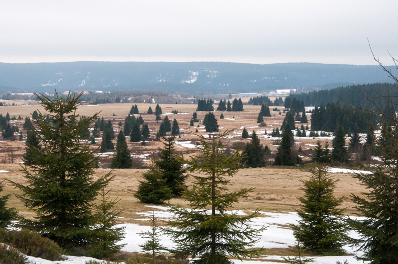 Syrová březnová krajina Krušných hor