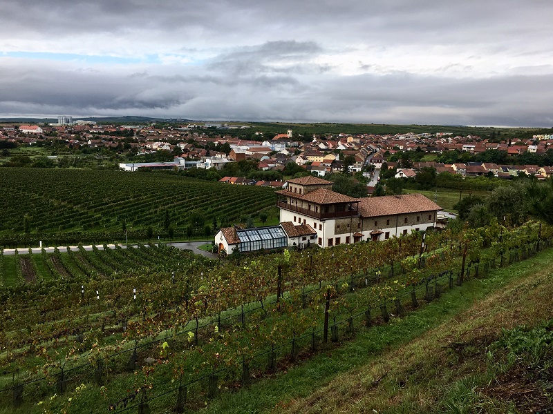 Velké Pavlovice z viničního altánu