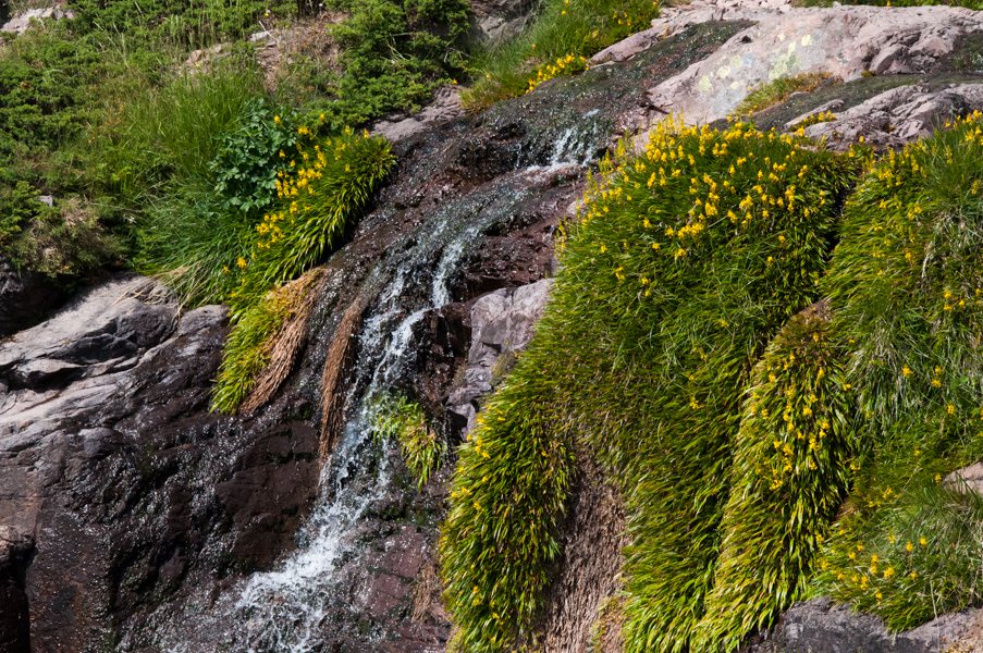 Vodopád a skalní srst v podobě bujné květeny