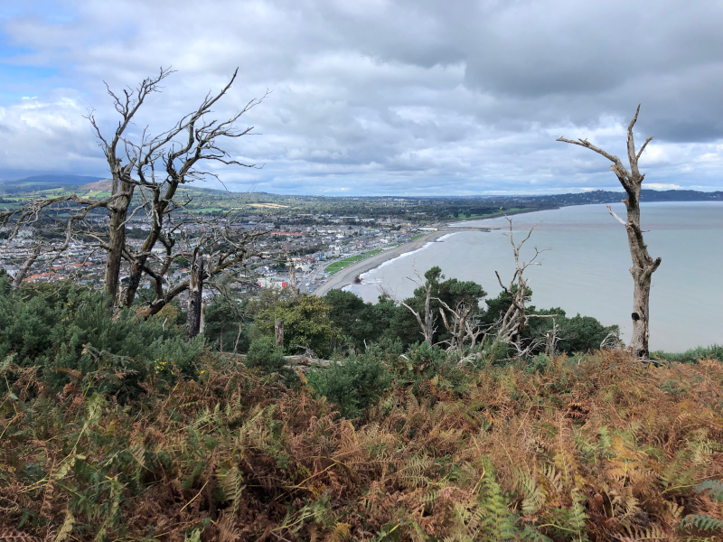 Výstup na horu Bray Head