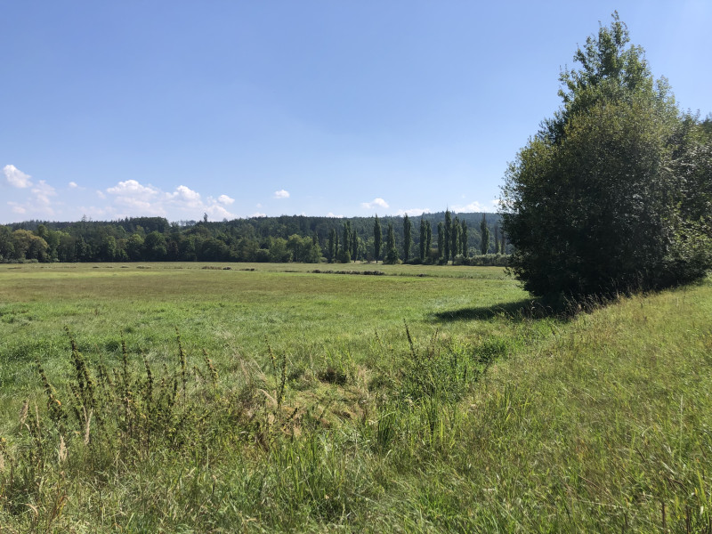 Za Šťáhlavy