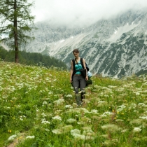 Alpejskie łąki pełne kwiatów