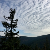 Altocumulus undulatus