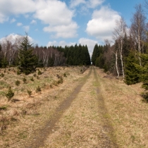 Cesta na Velký Špičák