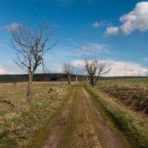 Cesta po náhorní plošině u Pastvin