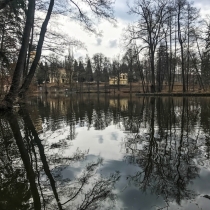 Hamerský rybník u zámku Kamenice