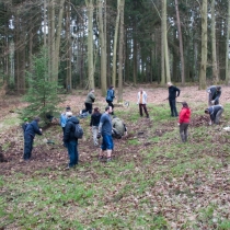 Holýšov - úklid kolem studánky