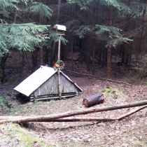 Holýšov - úklid kolem studánky