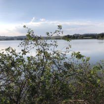 Metelský rybník