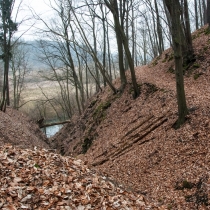 Mezi Mladou Boleslaví a Bakovem nad Jizerou