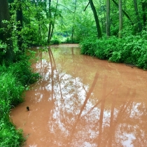 Po dešti v zemi červených bahen