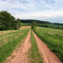 Pohory, pot a vůle