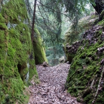 Skrytá ulička v Prachovských skalách