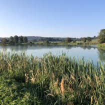 Škvořetice