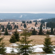 Syrová březnová krajina Krušných hor