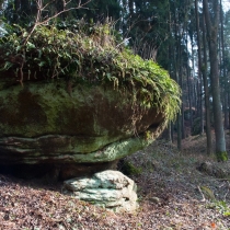 Vegetací pohlcený balvan