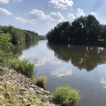 Vltava v Týně nad Vltavou