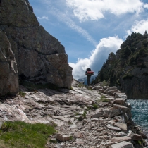 Zlaté čeřiny